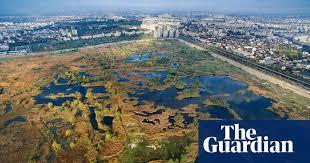 Vacaresti Nature Park